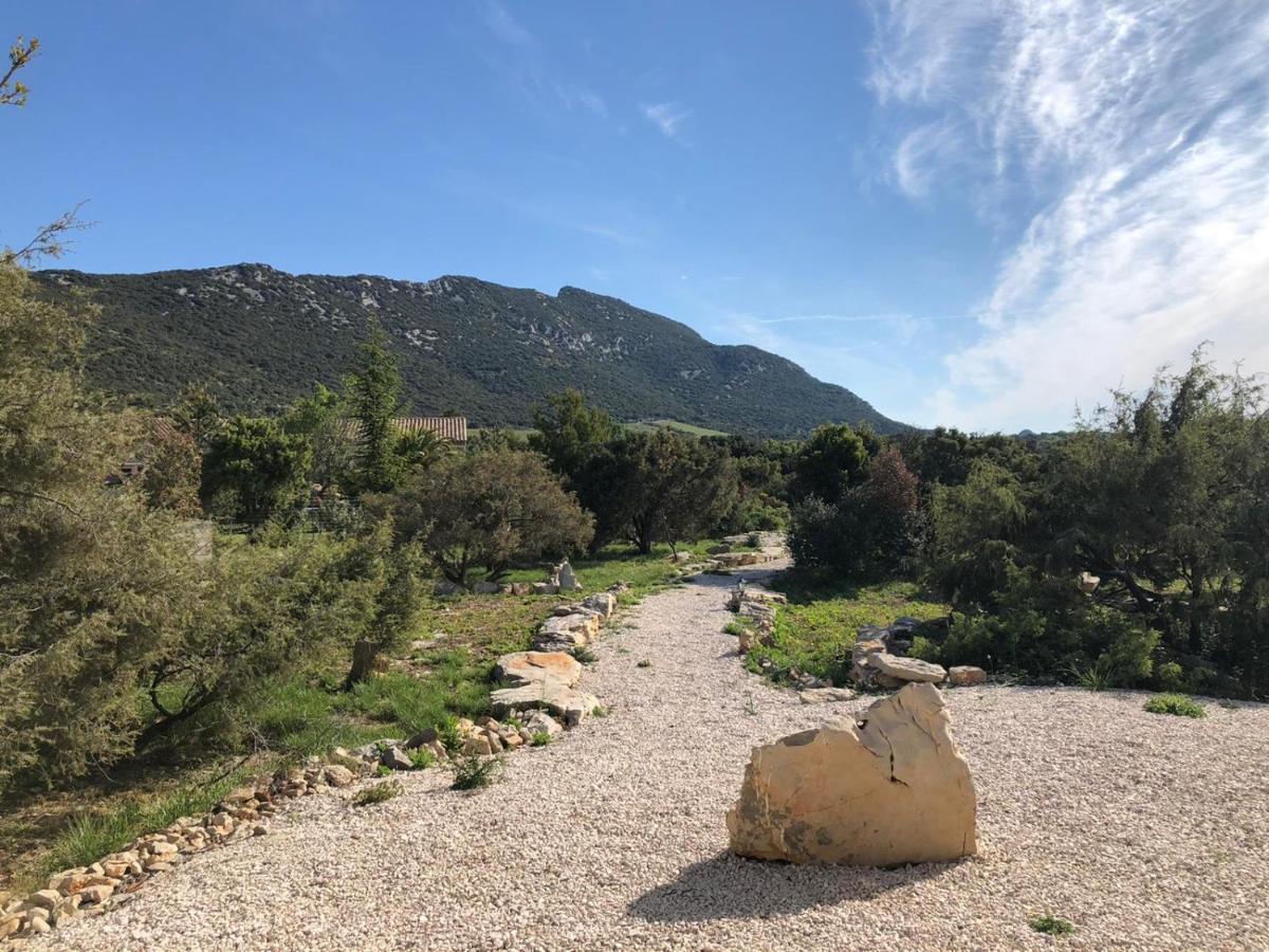 Le Domaine Du Cade-Gites D'Exception 4Etoiles "La Villa Du Cade" Cazevieille Exteriör bild