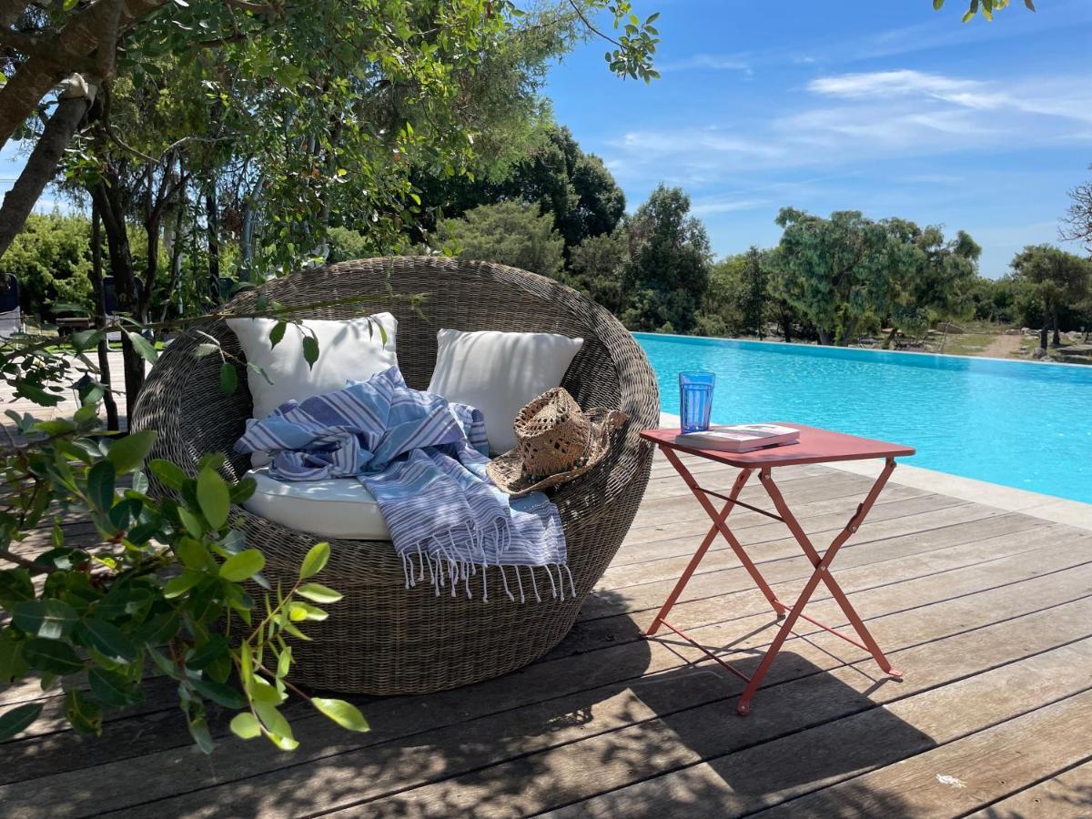 Le Domaine Du Cade-Gites D'Exception 4Etoiles "La Villa Du Cade" Cazevieille Exteriör bild