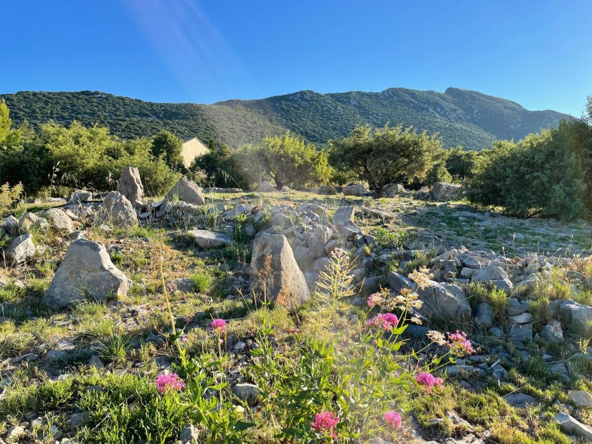Le Domaine Du Cade-Gites D'Exception 4Etoiles "La Villa Du Cade" Cazevieille Exteriör bild